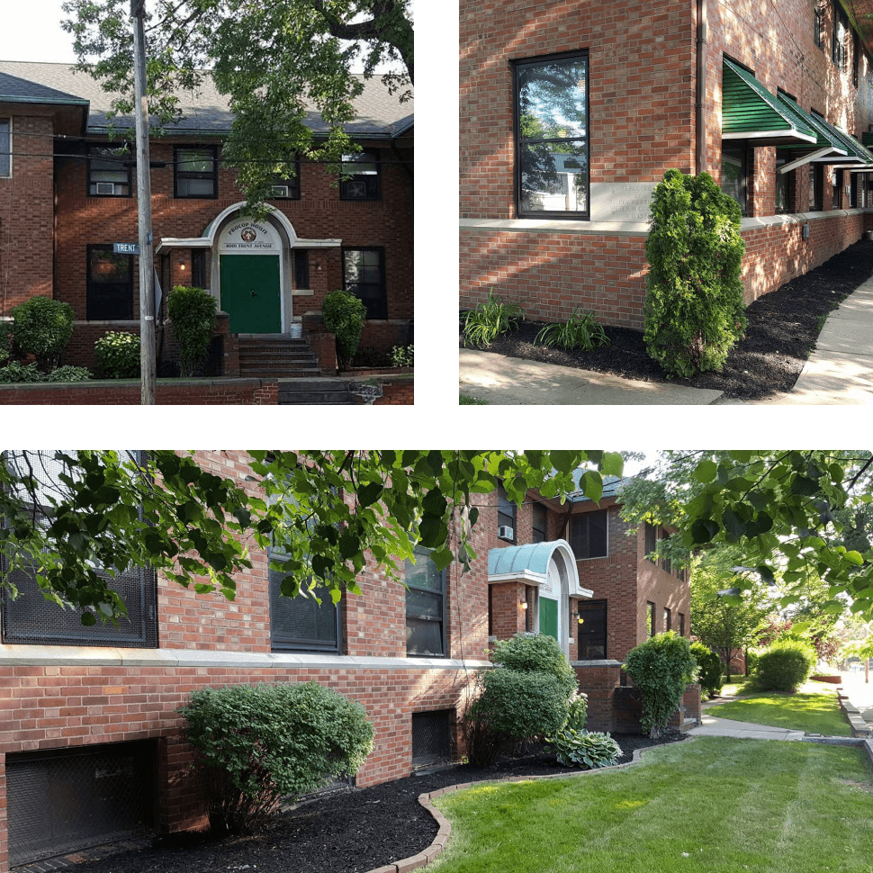 collage of different images from redoing the procop house